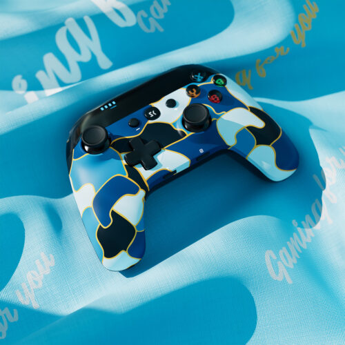 ISHAKO Pro Controller for Switch